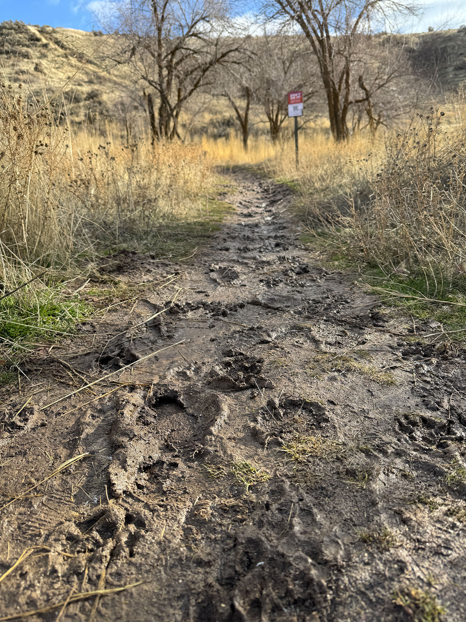 Muddy trails in the Boise Foothills.